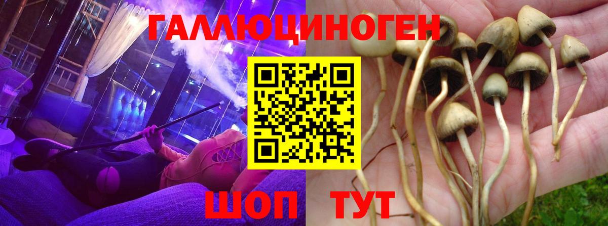 Галлюциногенные грибы мухоморы  Псилоцибиновые грибы Cubensis  Вход с VPN  Зеленодольск 