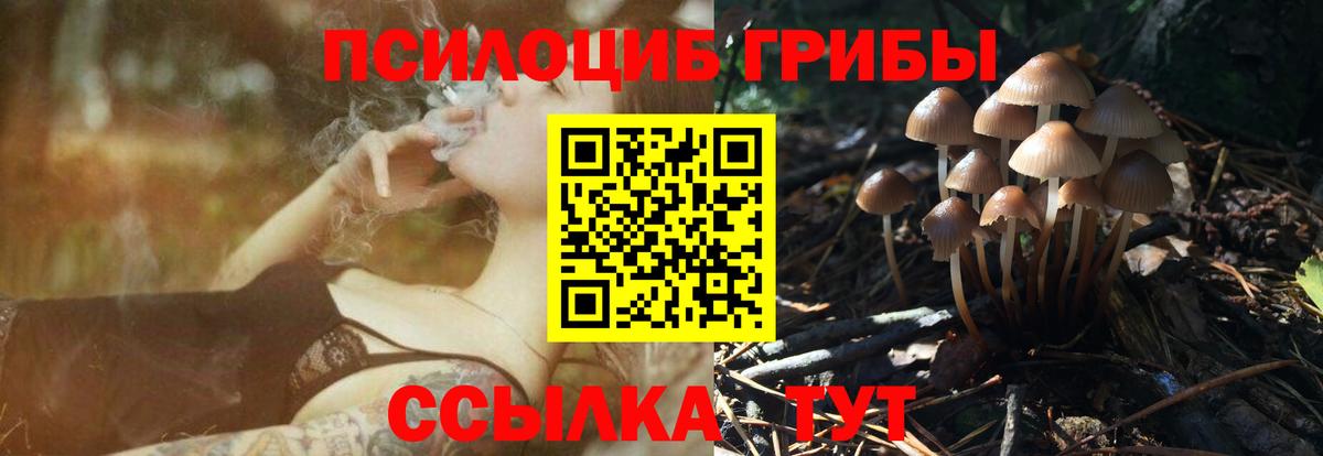 Галлюциногенные грибы Magic Shrooms Зеленодольск
